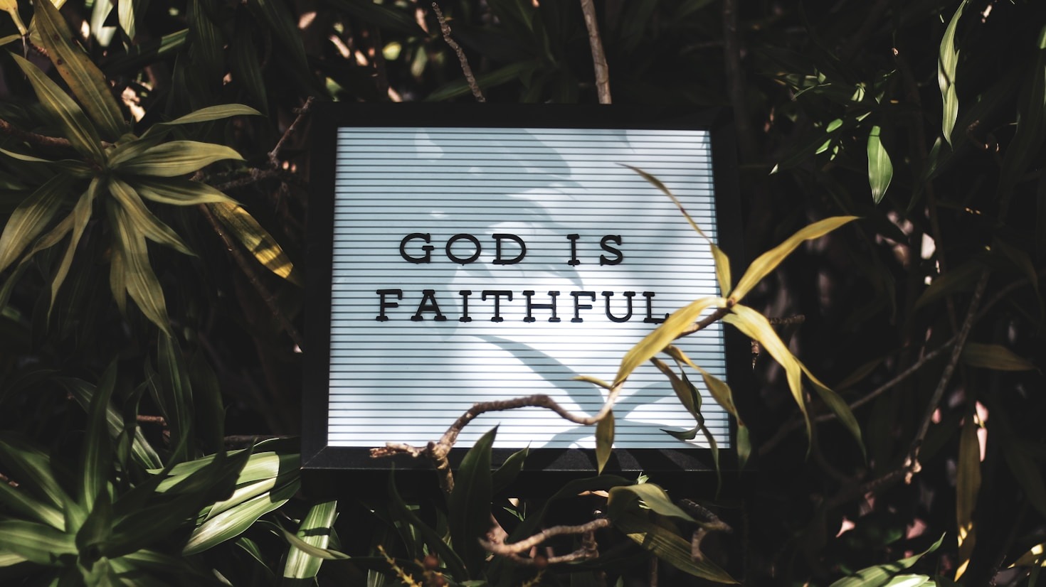 Impactful Ways to Engage Your Faith Online